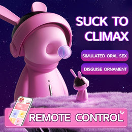 Fashion Ornaments Rabbit Clitoris Sucking Vibrator Set With Dust Cover
