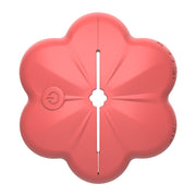 Nipple Vibrator Clamp Remote Breast Clips Clit Stimulator Women