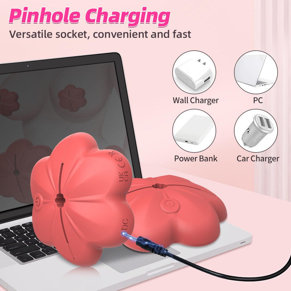 Nipple Vibrator Clamp Remote Breast Clips Clit Stimulator Women